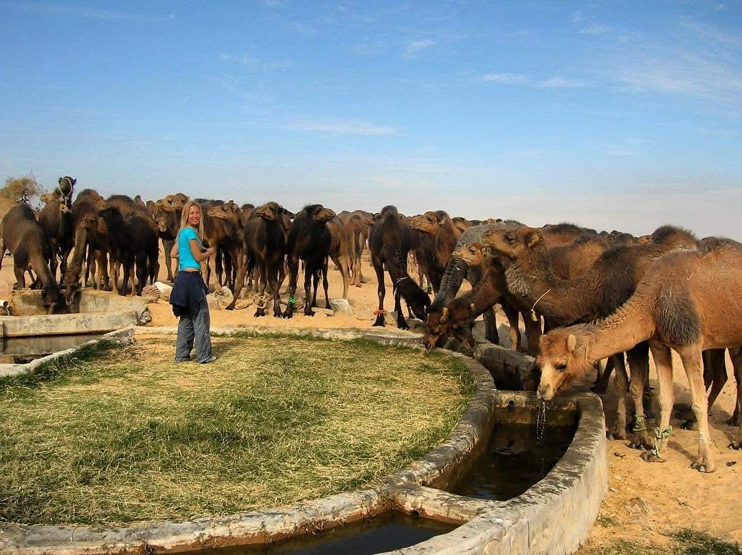 egypt desert camping